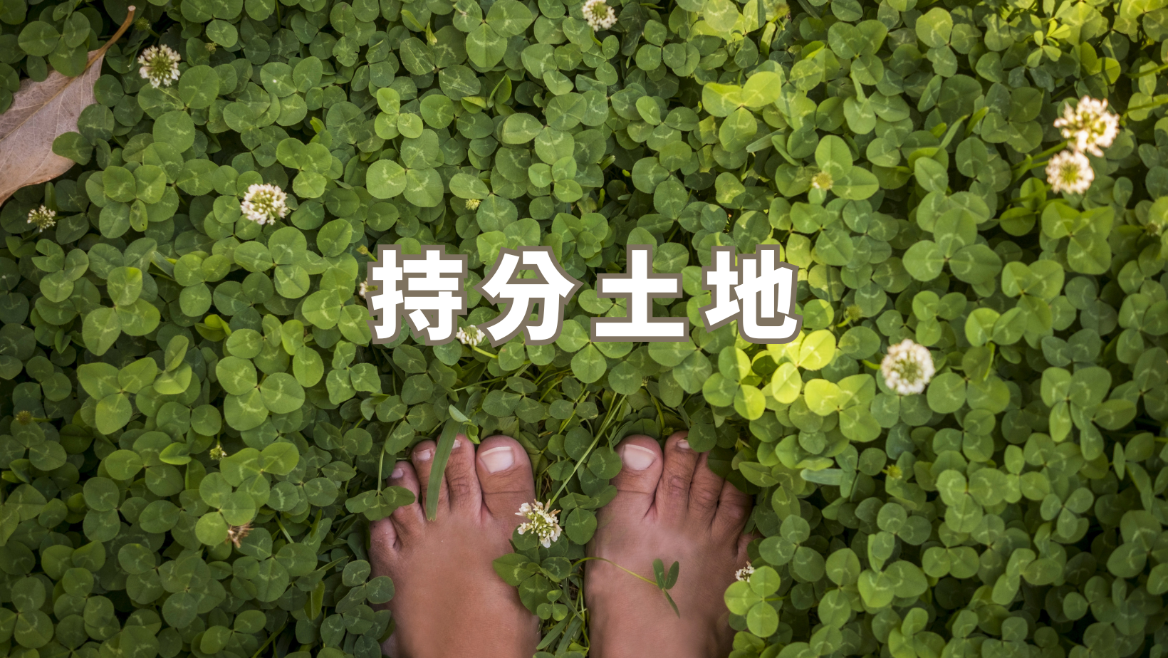 持分土地示意圖